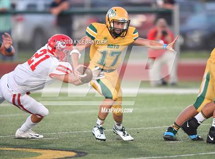 Thumbnail 3 in Holliday @ Boyd photogallery.