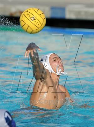 Villa Park @ Northwood