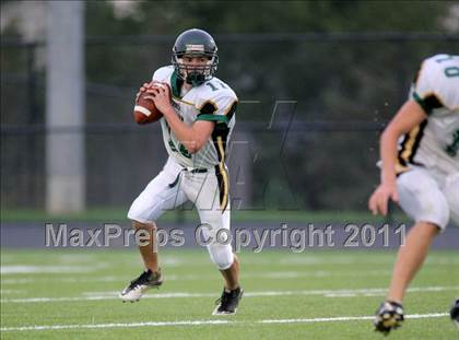 Thumbnail 2 in Loudoun Valley @ Woodgrove photogallery.