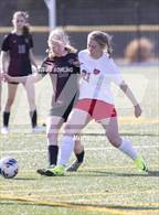 Photo from the gallery "Mt. Zion @ Champaign Central"