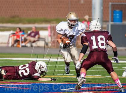 Thumbnail 2 in Stonington @ East Lyme photogallery.