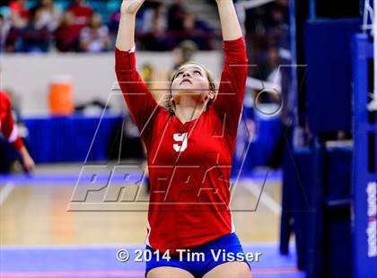 Thumbnail 1 in Idalia vs. Springfield (CHSAA 1A Playoff) photogallery.