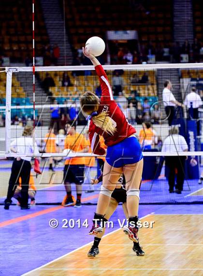 Thumbnail 2 in Idalia vs. Springfield (CHSAA 1A Playoff) photogallery.