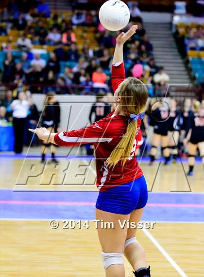 Thumbnail 1 in Idalia vs. Springfield (CHSAA 1A Playoff) photogallery.