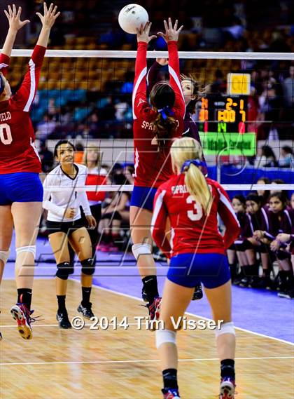 Thumbnail 2 in Idalia vs. Springfield (CHSAA 1A Playoff) photogallery.