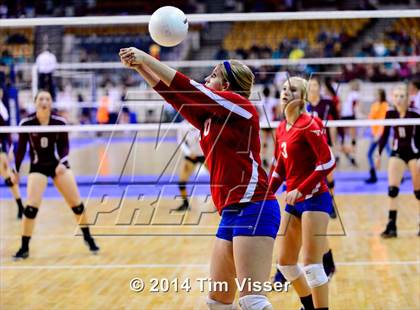 Thumbnail 1 in Idalia vs. Springfield (CHSAA 1A Playoff) photogallery.