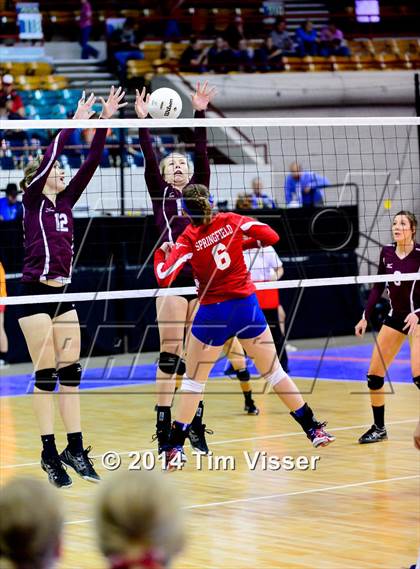 Thumbnail 1 in Idalia vs. Springfield (CHSAA 1A Playoff) photogallery.