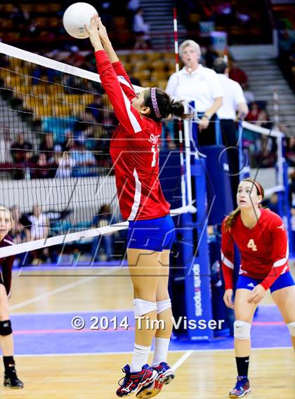 Thumbnail 1 in Idalia vs. Springfield (CHSAA 1A Playoff) photogallery.