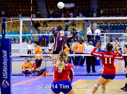 Thumbnail 2 in Idalia vs. Springfield (CHSAA 1A Playoff) photogallery.