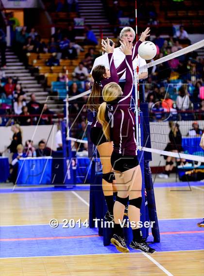 Thumbnail 1 in Idalia vs. Springfield (CHSAA 1A Playoff) photogallery.