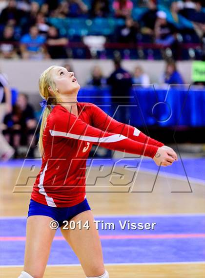Thumbnail 1 in Idalia vs. Springfield (CHSAA 1A Playoff) photogallery.