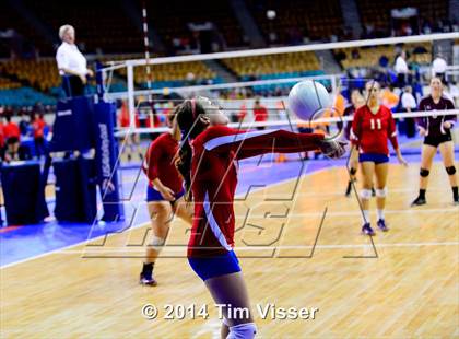 Thumbnail 3 in Idalia vs. Springfield (CHSAA 1A Playoff) photogallery.