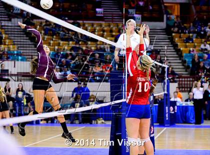 Thumbnail 3 in Idalia vs. Springfield (CHSAA 1A Playoff) photogallery.