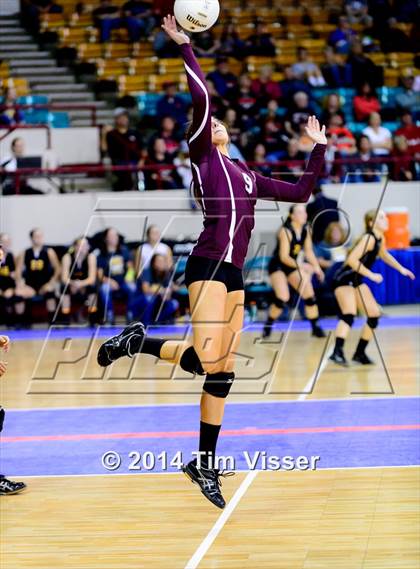 Thumbnail 1 in Idalia vs. Springfield (CHSAA 1A Playoff) photogallery.