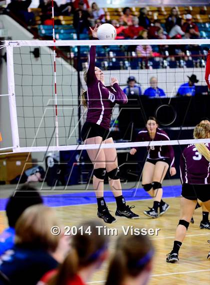Thumbnail 1 in Idalia vs. Springfield (CHSAA 1A Playoff) photogallery.