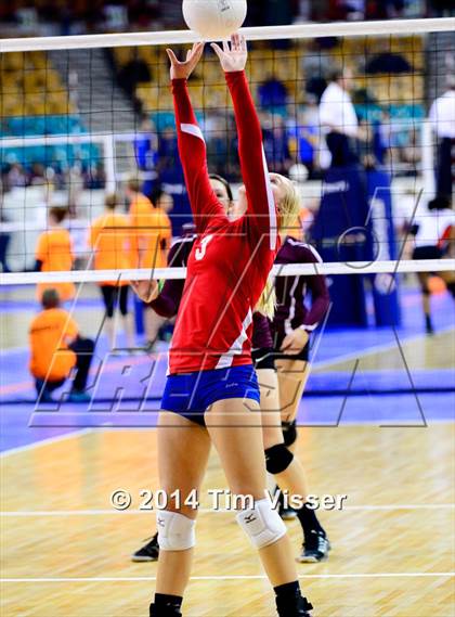Thumbnail 2 in Idalia vs. Springfield (CHSAA 1A Playoff) photogallery.