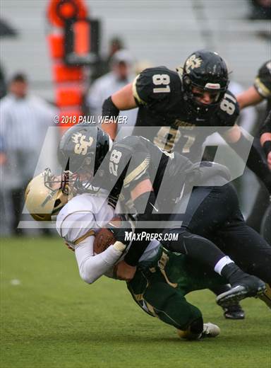 null - Photo 01
