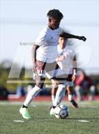 Photo from the gallery "Aquinas Institute @ Sutherland"