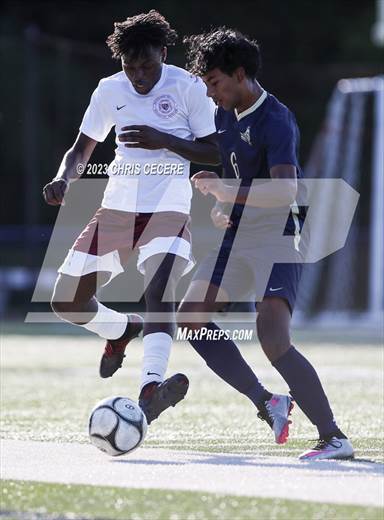 null - Photo 21