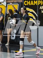 Photo from the gallery "Mesquite @ Gilbert"