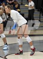 Photo from the gallery "Mesquite @ Gilbert"