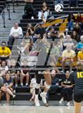 Photo from the gallery "Mesquite @ Gilbert"