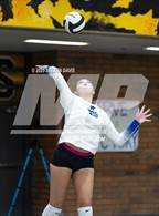 Photo from the gallery "Mesquite @ Gilbert"