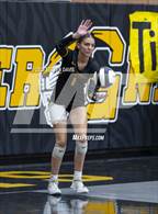 Photo from the gallery "Mesquite @ Gilbert"