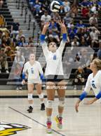 Photo from the gallery "Mesquite @ Gilbert"