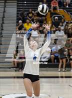 Photo from the gallery "Mesquite @ Gilbert"