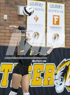 Photo from the gallery "Mesquite @ Gilbert"