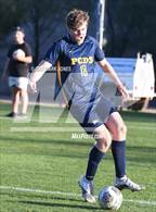Photo from the gallery "Trivium Prep @ Phoenix Country Day (AIA 3A Round 1 Playoff)"