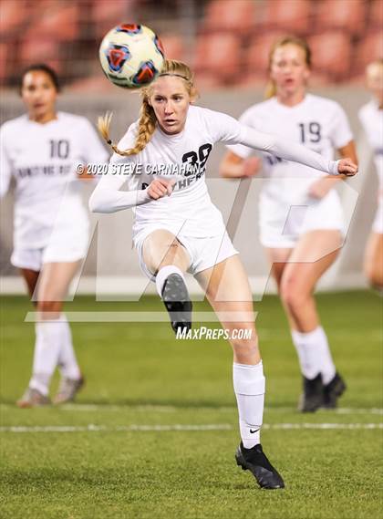 Thumbnail 1 in Pine View vs. Ridgeline (UHSAA 4A Semi-Final) photogallery.