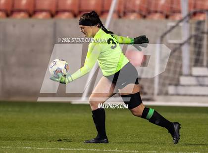 Thumbnail 1 in Pine View vs. Ridgeline (UHSAA 4A Semi-Final) photogallery.