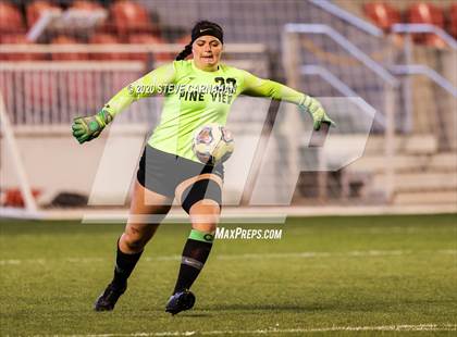 Thumbnail 3 in Pine View vs. Ridgeline (UHSAA 4A Semi-Final) photogallery.