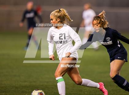 Thumbnail 1 in Pine View vs. Ridgeline (UHSAA 4A Semi-Final) photogallery.