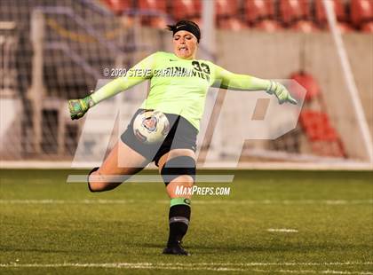 Thumbnail 3 in Pine View vs. Ridgeline (UHSAA 4A Semi-Final) photogallery.