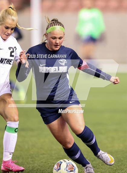 Thumbnail 1 in Pine View vs. Ridgeline (UHSAA 4A Semi-Final) photogallery.