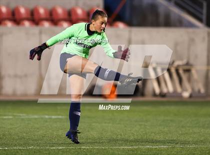 Thumbnail 1 in Pine View vs. Ridgeline (UHSAA 4A Semi-Final) photogallery.