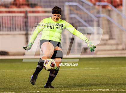 Thumbnail 2 in Pine View vs. Ridgeline (UHSAA 4A Semi-Final) photogallery.