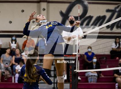 Thumbnail 1 in Gregori @ Modesto photogallery.