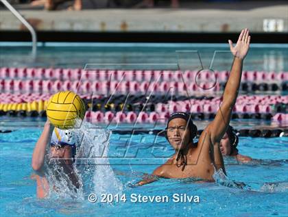 Thumbnail 2 in San Pasqual vs. Vista (CIF SDS D1 Quarterfinal) photogallery.