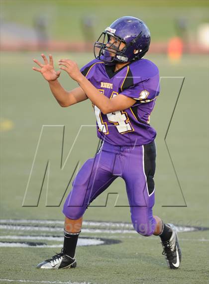 Thumbnail 2 in Pioneer Valley @ Righetti photogallery.