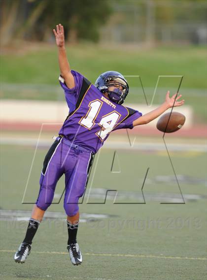 Thumbnail 1 in Pioneer Valley @ Righetti photogallery.