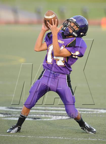Thumbnail 3 in Pioneer Valley @ Righetti photogallery.