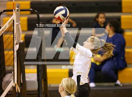 Thumbnail 2 in Vernon @ Henrietta photogallery.
