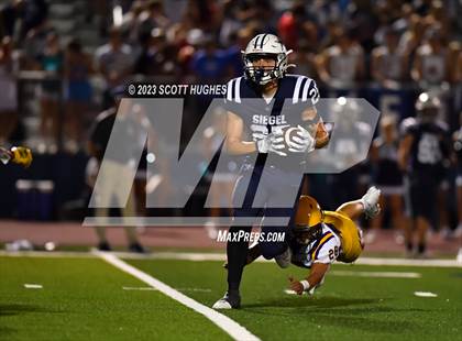 Thumbnail 2 in Smyrna @ Siegel photogallery.