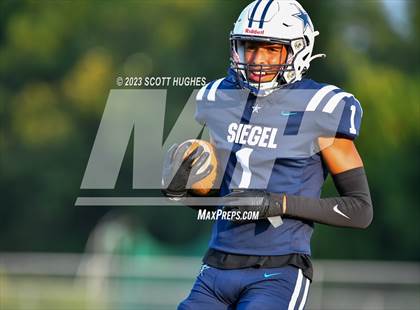 Thumbnail 1 in Smyrna @ Siegel photogallery.