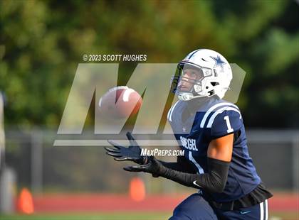 Thumbnail 3 in Smyrna @ Siegel photogallery.