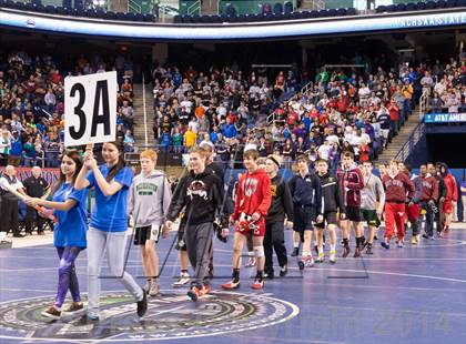Thumbnail 3 in NCHSAA 3A Wrestling Championships photogallery.